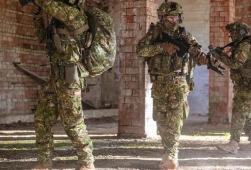 Lowa Z-6N GTXC | 6H4231 Lowa Australia